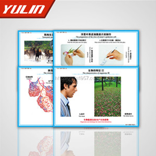 江苏微生物及免疫教学挂图