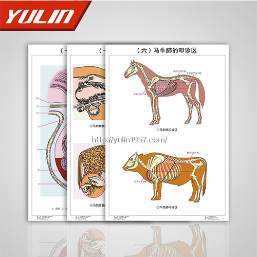 江苏职业教育教学挂图